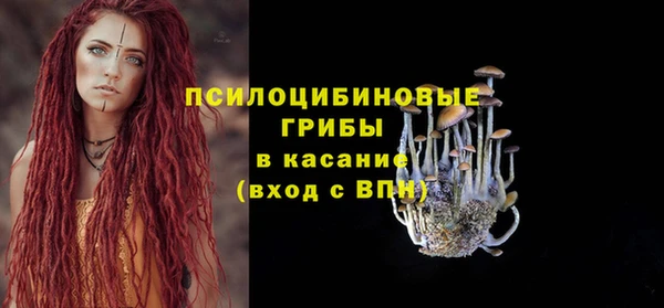 прущая мука Богданович