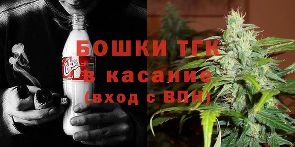 молекула духа Богородск