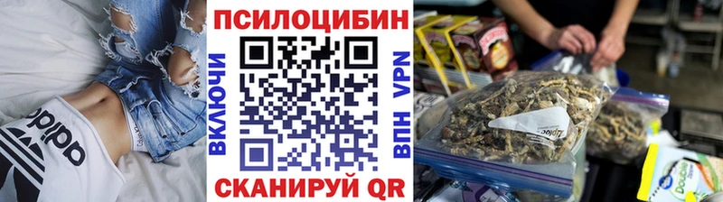 хочу наркоту  Оренбург  Псилоцибиновые грибы прущие грибы 